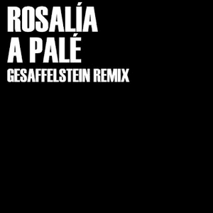 A Palé (Gesaffelstein Remix) by Gesaffelstein