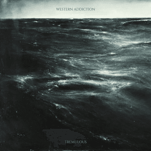 Your Life Is Precious by Western Addiction