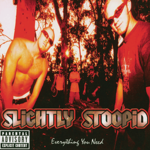 Everything You Need by Slightly Stoopid