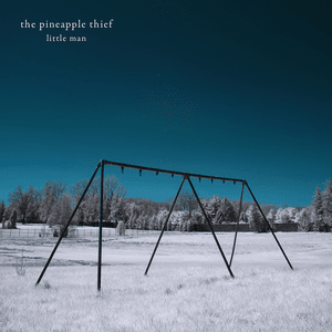 Little Man by The Pineapple Thief