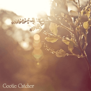Cootie Catcher EP by cootie catcher