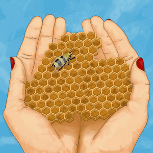 Honeycomb by Mackenzy Mackay