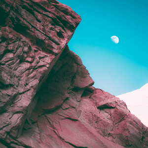 Linked by Bonobo