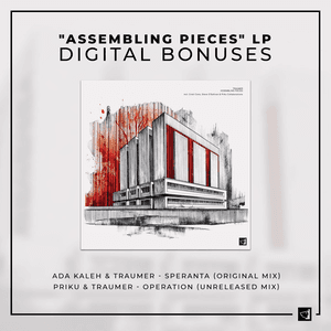 "Assembling Pieces" LP : Digital Bonuses by Traumer