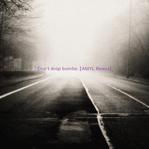 Don't Drop Bombs by AMYL