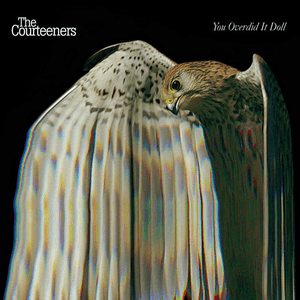 You Overdid It Doll by The Courteeners