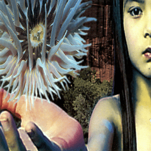 Lifeforms (disc 2) by The Future Sound of London