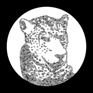 Need Your Lovin (Tiger & Woods remix) by Tensnake
