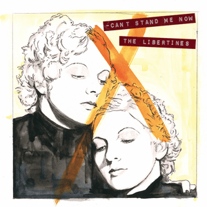 Can't Stand Me Now by The Libertines