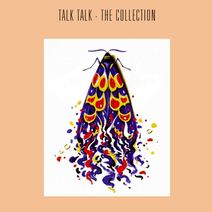 The Collection by Talk Talk