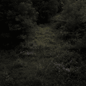 Higher Lonely Power by Fireworks