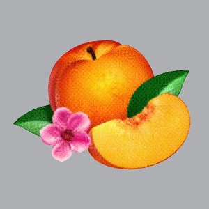 Bankrupt! (Deluxe) by Phoenix