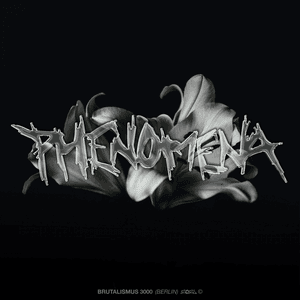 Phenomena by Brutalismus 3000