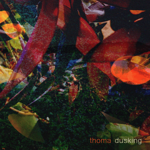 Dusking by Thoma
