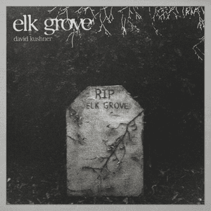 Elk Grove by David Kushner