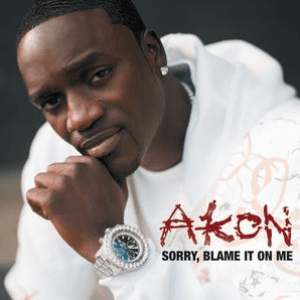 Sorry, Blame It On Me by Akon