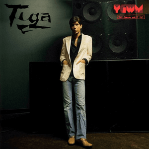 You Gonna Want Me by Tiga