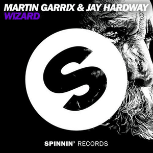 Wizard by Martin Garrix