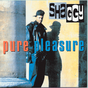 Pure Pleasure by Shaggy