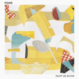 Paint Me Silver by Pond