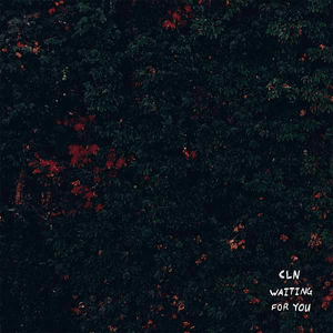 Waiting for You by cln