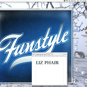 Funstyle by Liz Phair