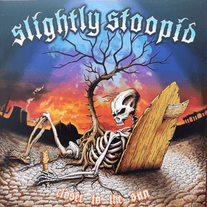 Closer To The Sun by Slightly Stoopid