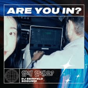 Are You In? by DJ Seinfeld