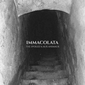 Immacolata by The Spoiled