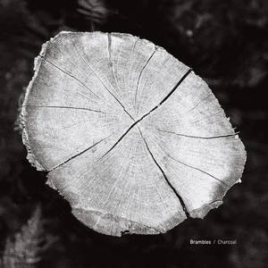 Charcoal: Expanded Edition by Brambles