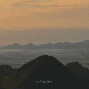 Rest by Soft Palms