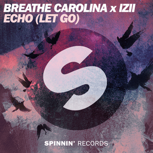 ECHO (LET GO) by Breathe Carolina