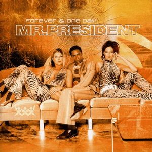 Forever & One Day by Mr. President