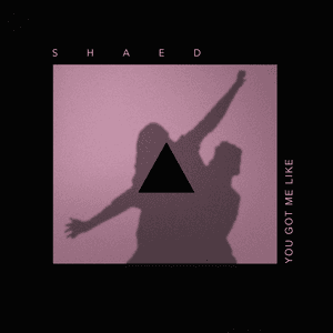 You Got Me Like by SHAED
