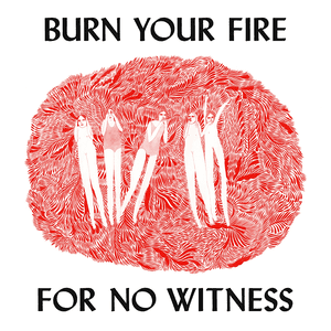 Burn Your Fire for No Witness by Angel Olsen