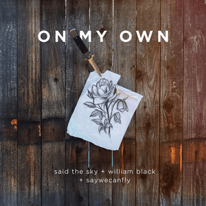On My Own by Said The Sky