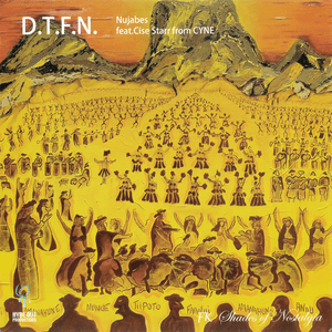 D.T.F.N. (12inch Ver.) by Nujabes