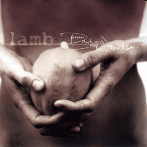 Between Darkness & Wonder by Lamb
