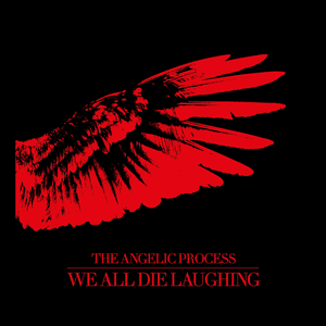 We All Die Laughing Box Set by The Angelic Process