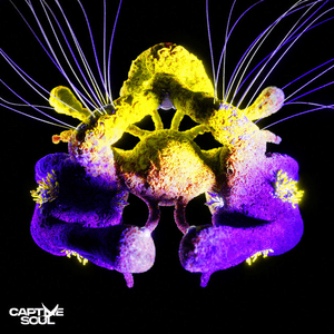 Fragments of Light by TH;EN