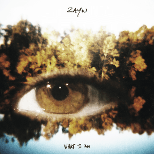 What I Am by ZAYN