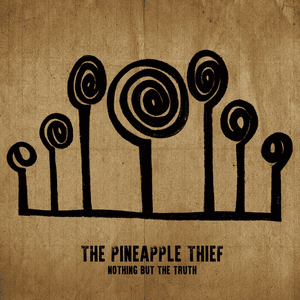 Nothing But the Truth by The Pineapple Thief
