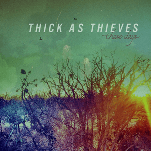 These Days by Thick As Thieves