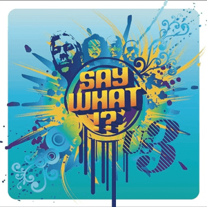 Say What!? by Us3