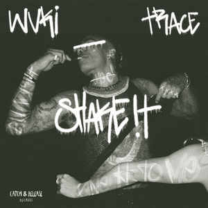 Shake It by Wuki