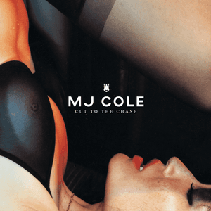 Cut To The Chase by MJ Cole