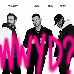 What Would You Do? by Joel Corry