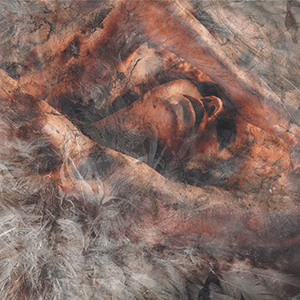 Unloved and Weeded Out by Converge