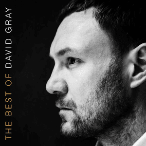 The Best of David Gray (Deluxe Edition) by David Gray