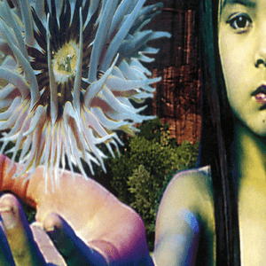 Lifeforms by The Future Sound of London